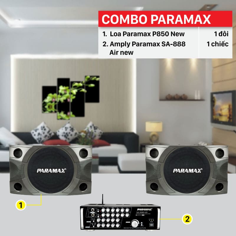Dàn karaoke gia đình dưới 10 triệu Paramax 02 chất lượng âm thanh ổn định, chân thực