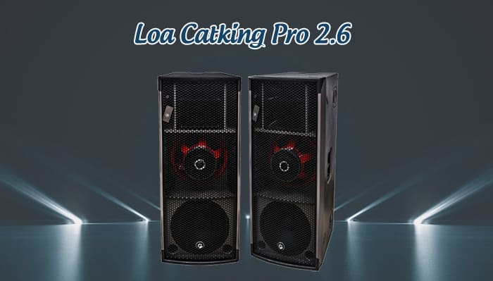 Loa đám cưới công suất lớn Catking Pro 2.6 có góc phủ rộng 90˚ × 30˚ Loa đám cưới công suất lớn Catking Pro 2.6 có góc phủ rộng 90˚ × 30˚