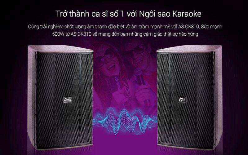 Loa full bass 25 bãi AS CK-310 Loa full bass 25 bãi AS CK-310