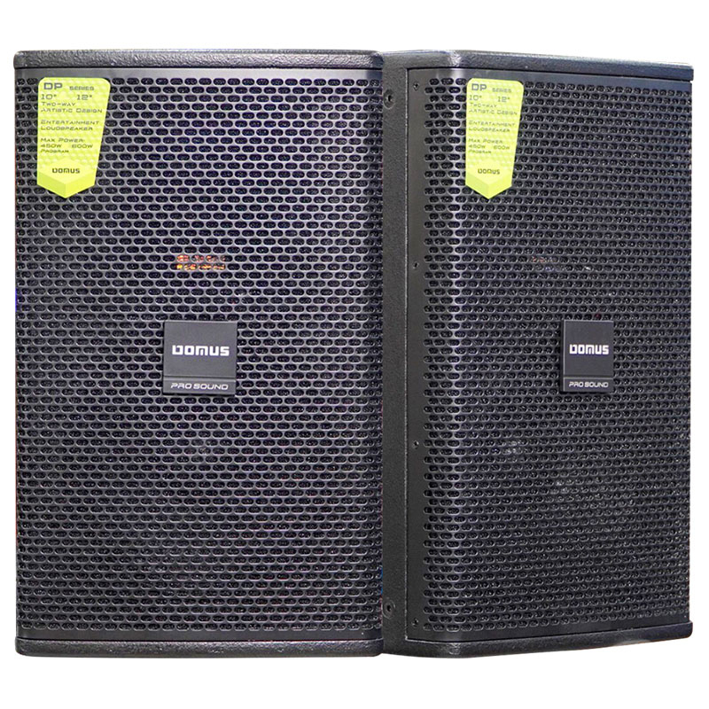 Loa full bass 25 bãi Domus DP6100 Loa full bass 25 bãi Domus DP6100
