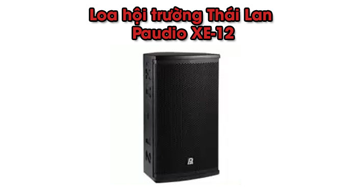 Loa hội trường Thái Lan Paudio XE-12