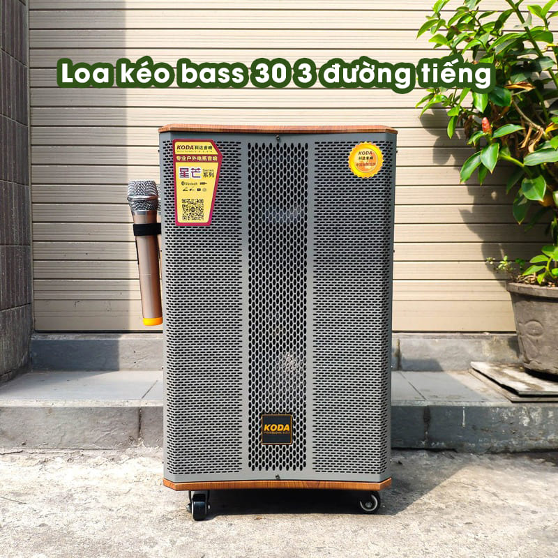 Loa kéo bass 30 3 đường tiếng chuyên dụng cho dàn âm thanh quy mô nhỏ và kín 