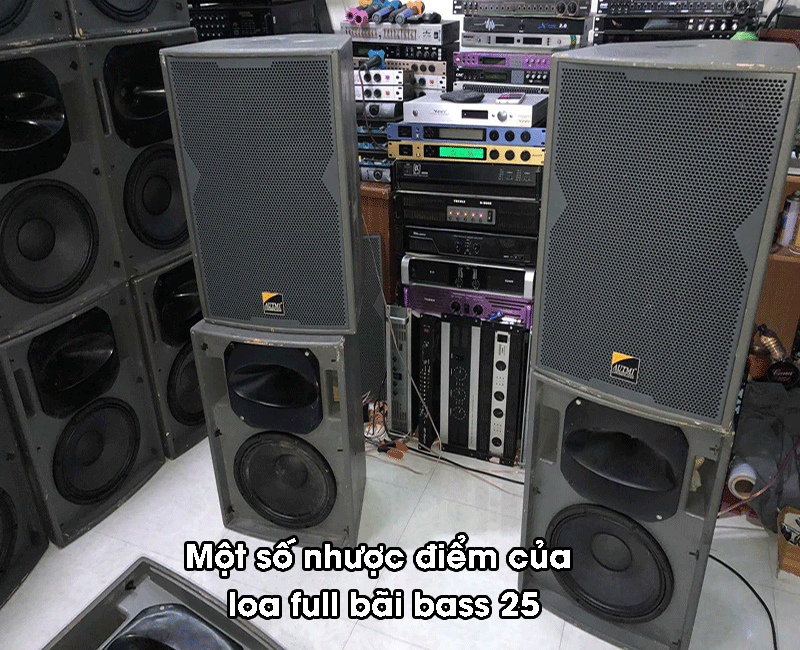Sử dụng loa full bãi bass 25cm cũng có một số nhược điểm nhỏ Sử dụng loa full bãi bass 25cm cũng có một số nhược điểm nhỏ